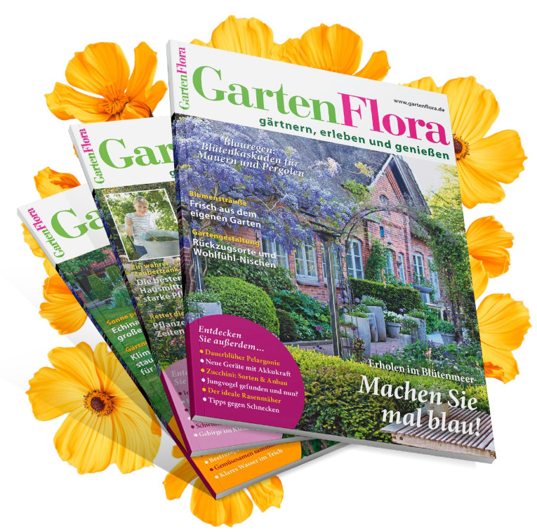 3 Hefte GartenFlora gratis 