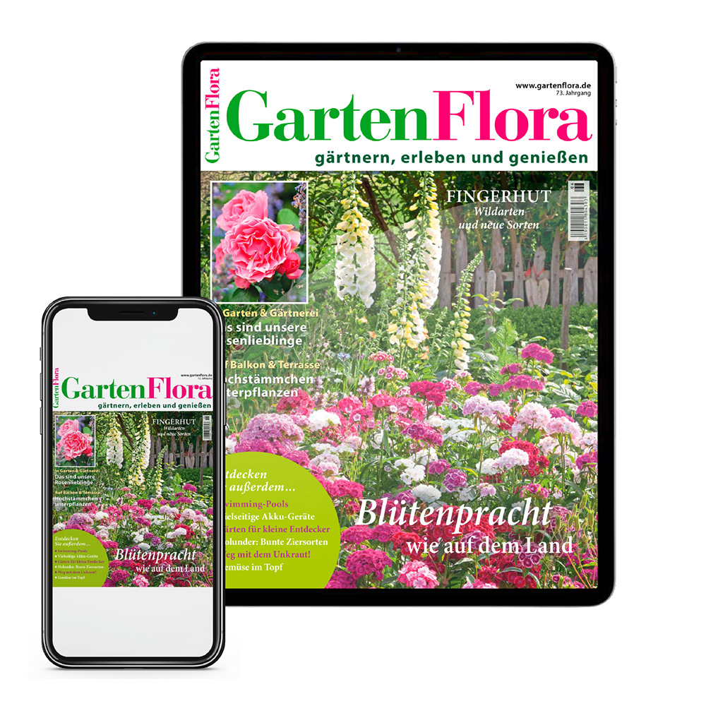 GartenFlora E-Paper Only