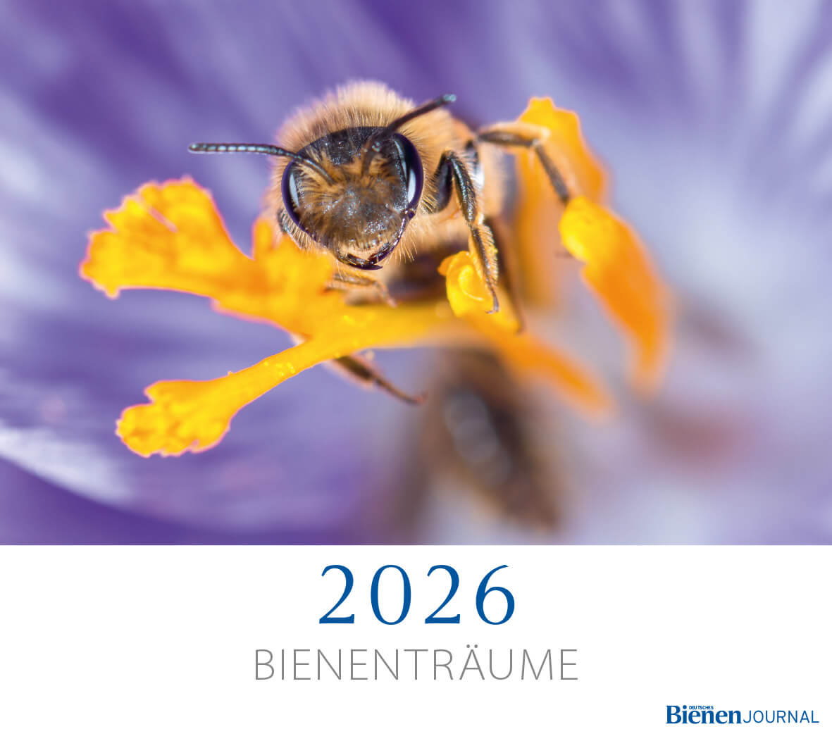 Fotokalender Deutsches Bienen-Journal 2026