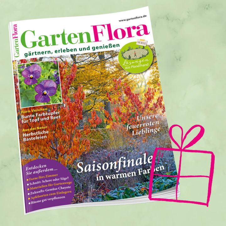 GartenFlora Geschenkabo für 1 Jahr