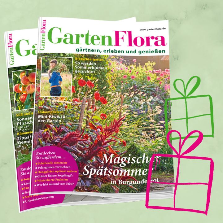 GartenFlora Geschenkabo f&uuml;r 2 Jahre