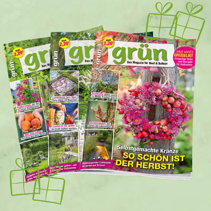 Grün Geschenkabo unbefristet