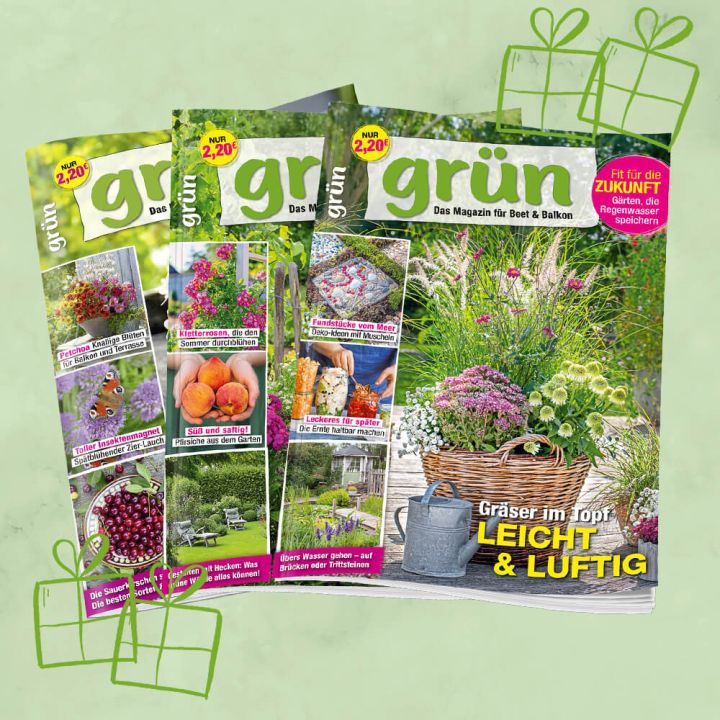 Grün Geschenkabo unbefristet