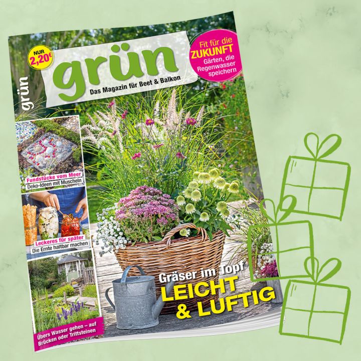 Grün Geschenkabo für 1 Jahr
