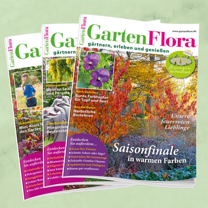 GartenFlora Jahresabo für mich