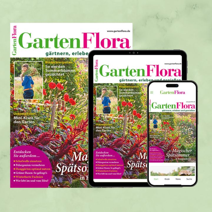 GartenFlora Kombiabo Heft und ePaper