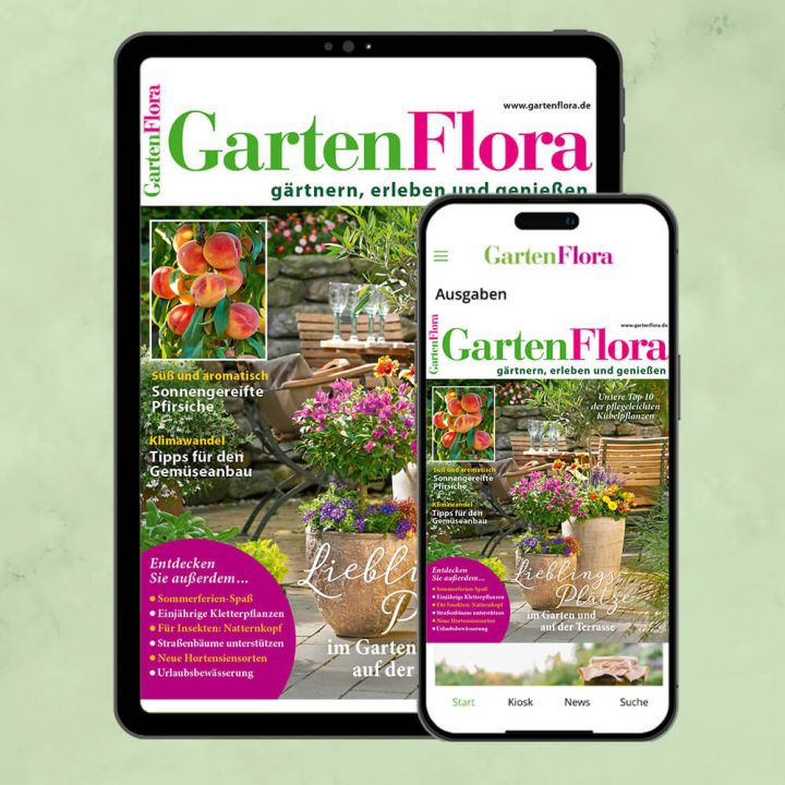 GartenFlora ePaper-Abo