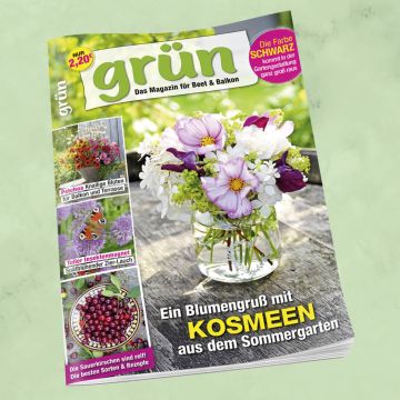 Grün Juli 2026, Heft 6/2026
