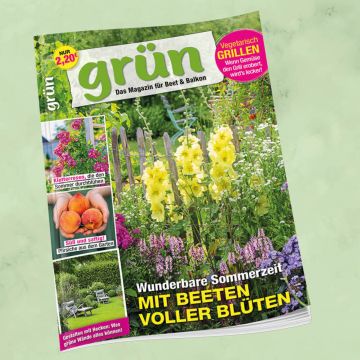 Grün August 2026, Heft 7/2026
