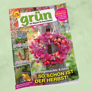 Grün Oktober/November 2026, Heft 9/2026