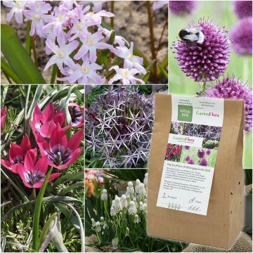 GartenFlora - GartenFlora Bio-Blumenzwiebeln von Natural Bulbs