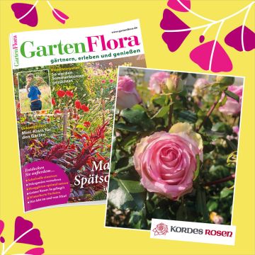 GartenFlora Jahresabo mit Edelrose