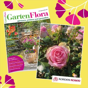 6 Ausgaben GartenFlora mit Edelrose als Geschenk