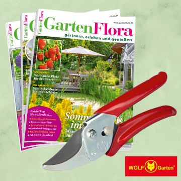 GartenFlora Miniabo mit Gartenschere