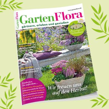 GartenFlora Herbstangebot - Abbildung des Heftes