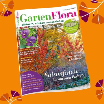 GartenFlora Miniabo - Abbildung GartenFlora-Heft