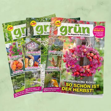 Grün Jahresabo für mich