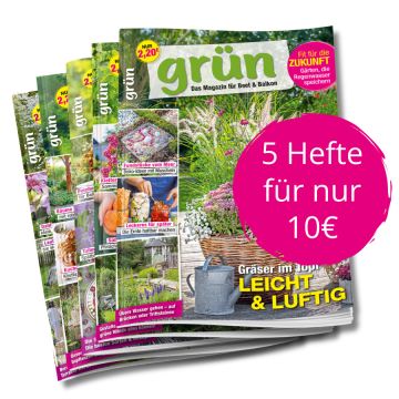 Grün 5 Ausgaben für 10  Euro