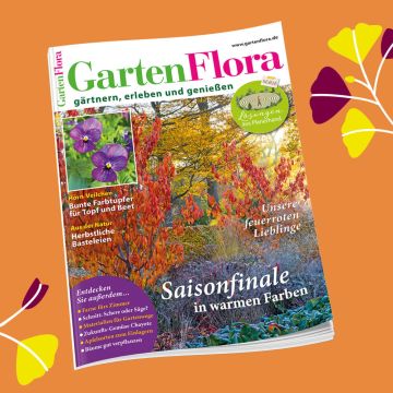 GartenFlora Geschenkabo