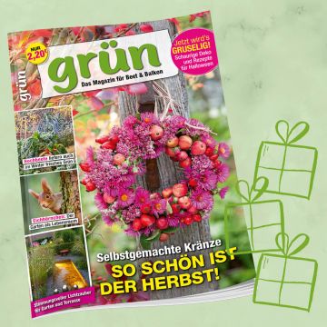 Grün Geschenkabo-Verlängerung