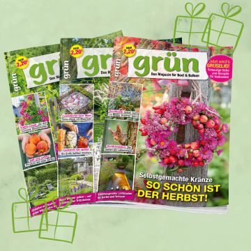 Grün Geschenkabo unbefristet