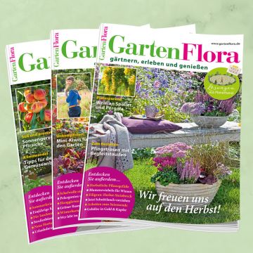 GartenFlora Miniabo