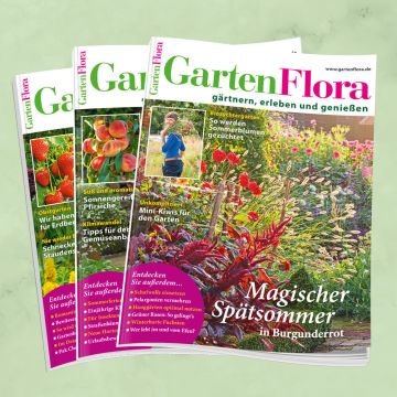 GartenFlora Jahresabo für mich