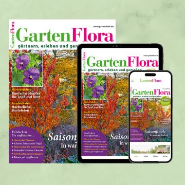 GartenFlora Kombiabo Heft und ePaper