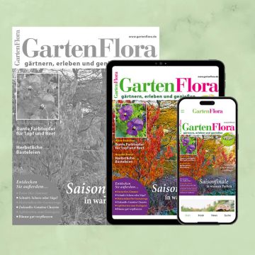 GartenFlora ePaper-Upgrade für Heft-Abonnenten