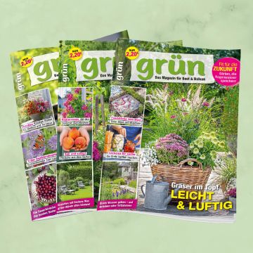 Grün Jahresabo für mich