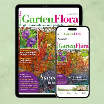 GartenFlora ePaper-Abo