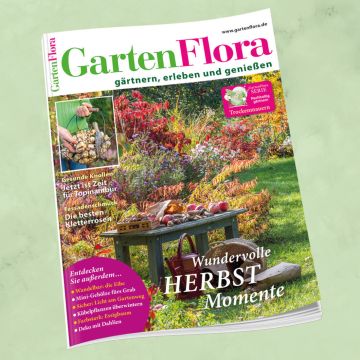 GartenFlora 11/2025