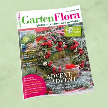 GartenFlora 12/2025