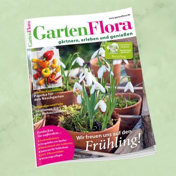 GartenFlora 2/2026