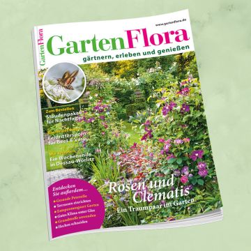 GartenFlora 6/2026
