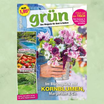 Grün Juli 2025, Heft 6/2025