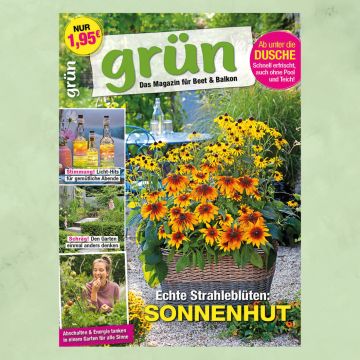 Grün August 2025, Heft 7/2025
