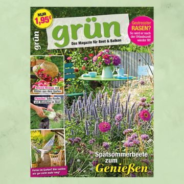 Grün September 2025, Heft 8/2025