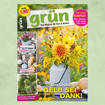 Grün Oktober 2025, Heft 9/2025