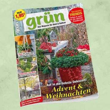 Grün Dezember 2025, Heft 10/2025