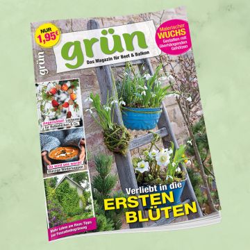 Grün Januar/Februar 2025, Heft 1/2026