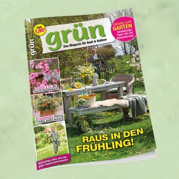 Grün April 2026, Heft 3/2026