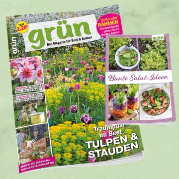 Grün Mai 2026, Heft 4/2026