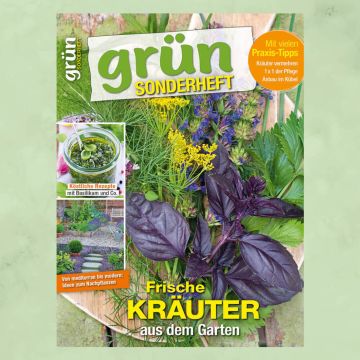 Grün Sonderheft 1/2024 "Frische Kräuter"