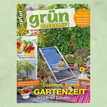 Grün Sonderheft 2/2024 "Sommer, Sonne, Gartenzeit"