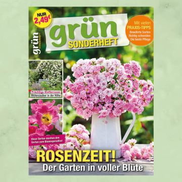 Grün Sonderheft 1/2025 "Rosenzeit"