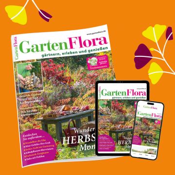 1 Jahr GartenFlora inkl. E-Paper lesen
