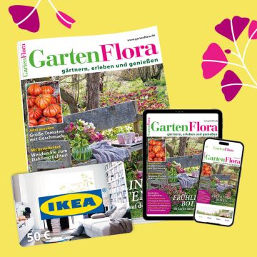 2 Jahre GartenFlora inkl. E-Paper lesen