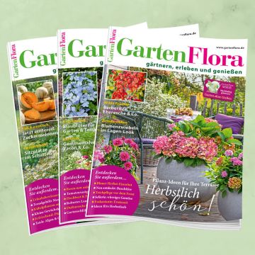 GartenFlora Miniabo