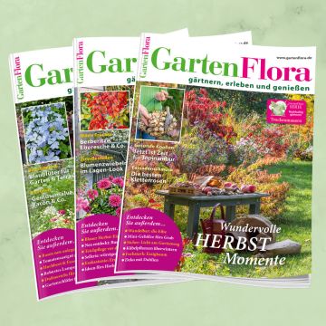 GartenFlora Miniabo